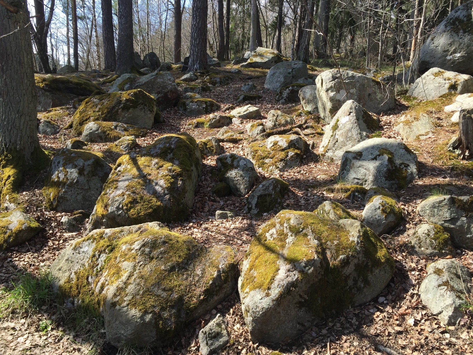 Stenhällen med böljeslagsmärken.